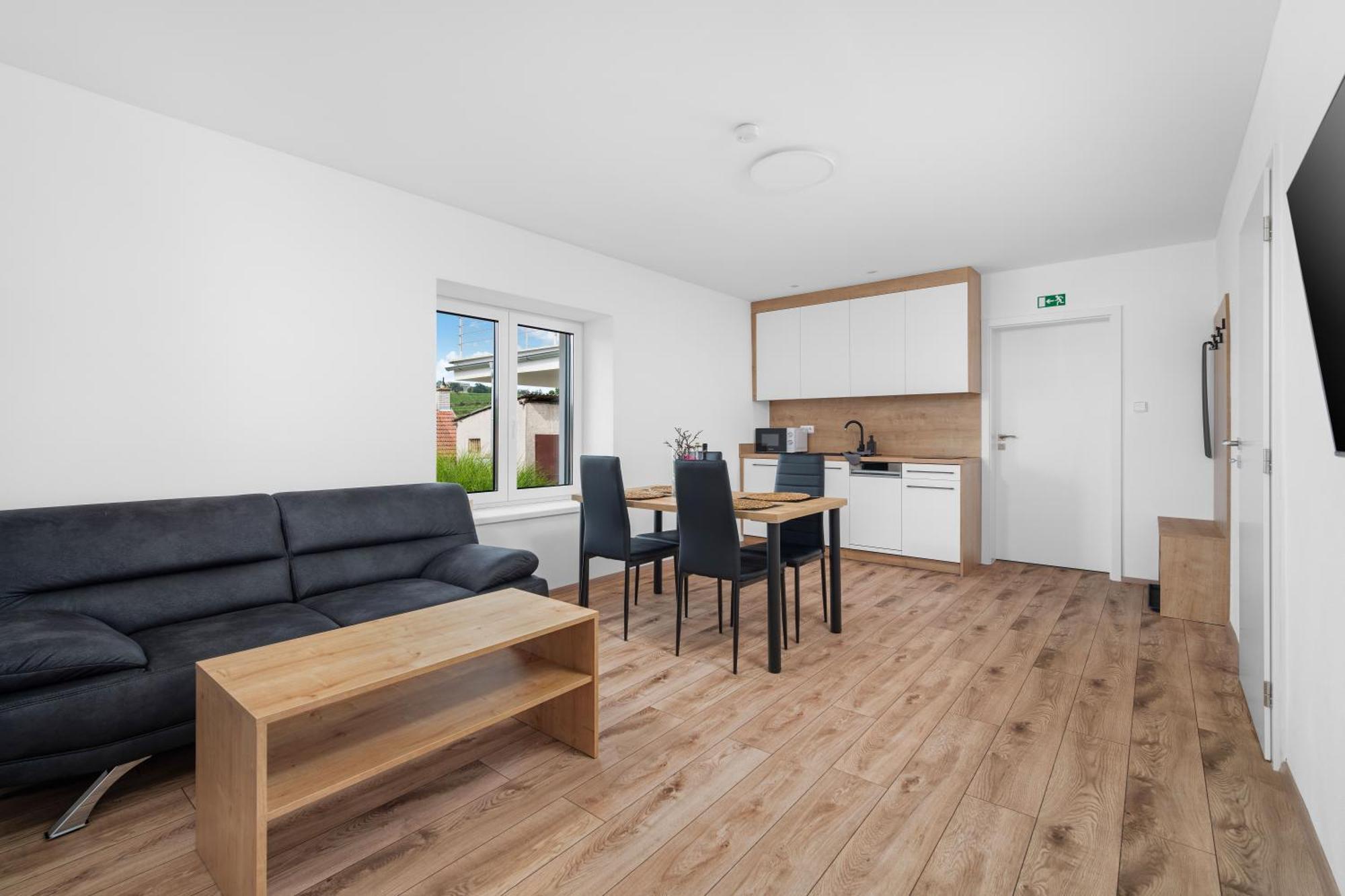 Apartment Stastny Sklep *