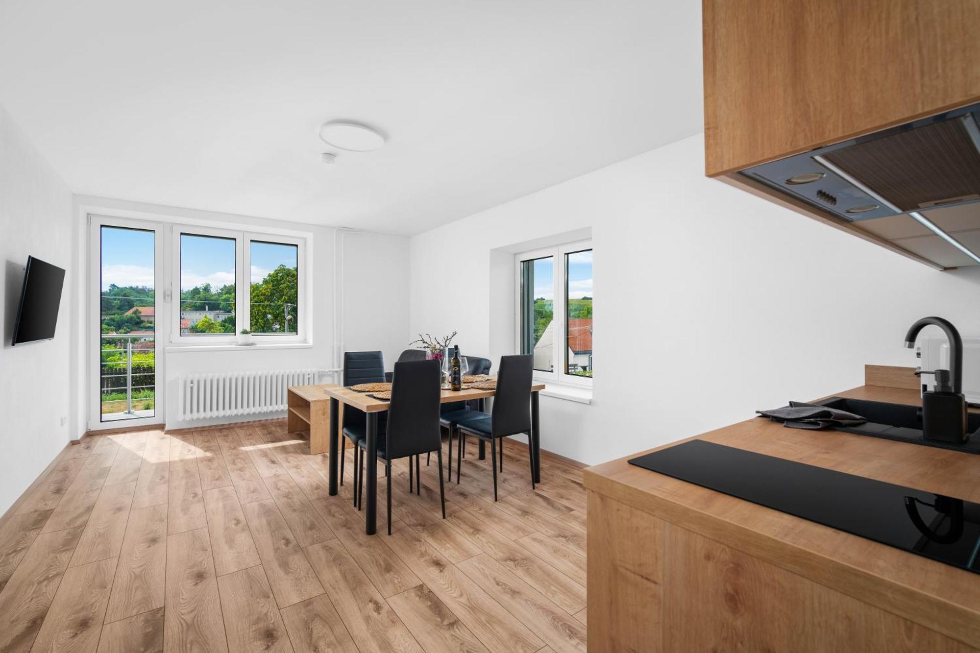 Stastny Sklep Apartment Valtice